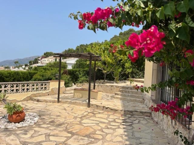 Authentic Groundfloor Apartment In Beautiful Villa, 자베아 외부 사진