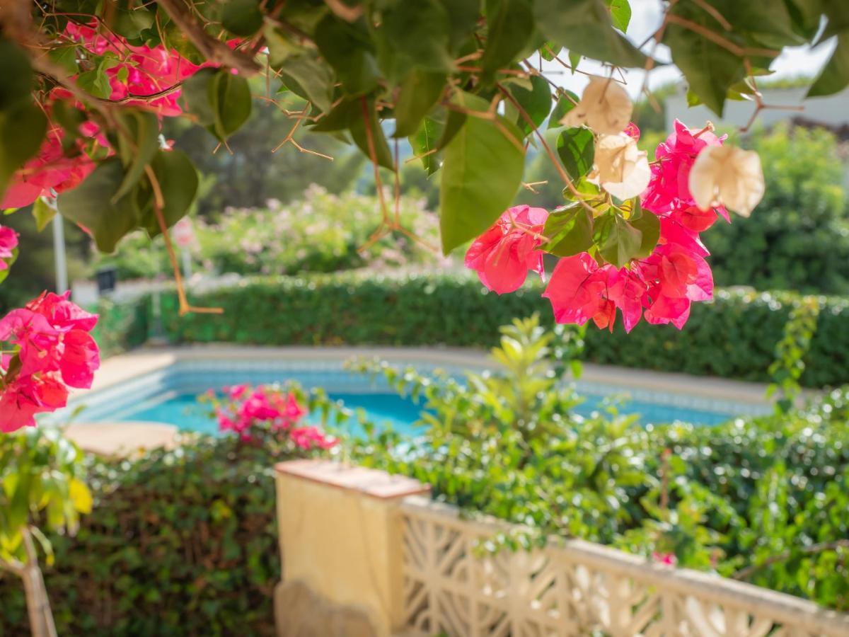 Authentic Groundfloor Apartment In Beautiful Villa, 자베아 외부 사진